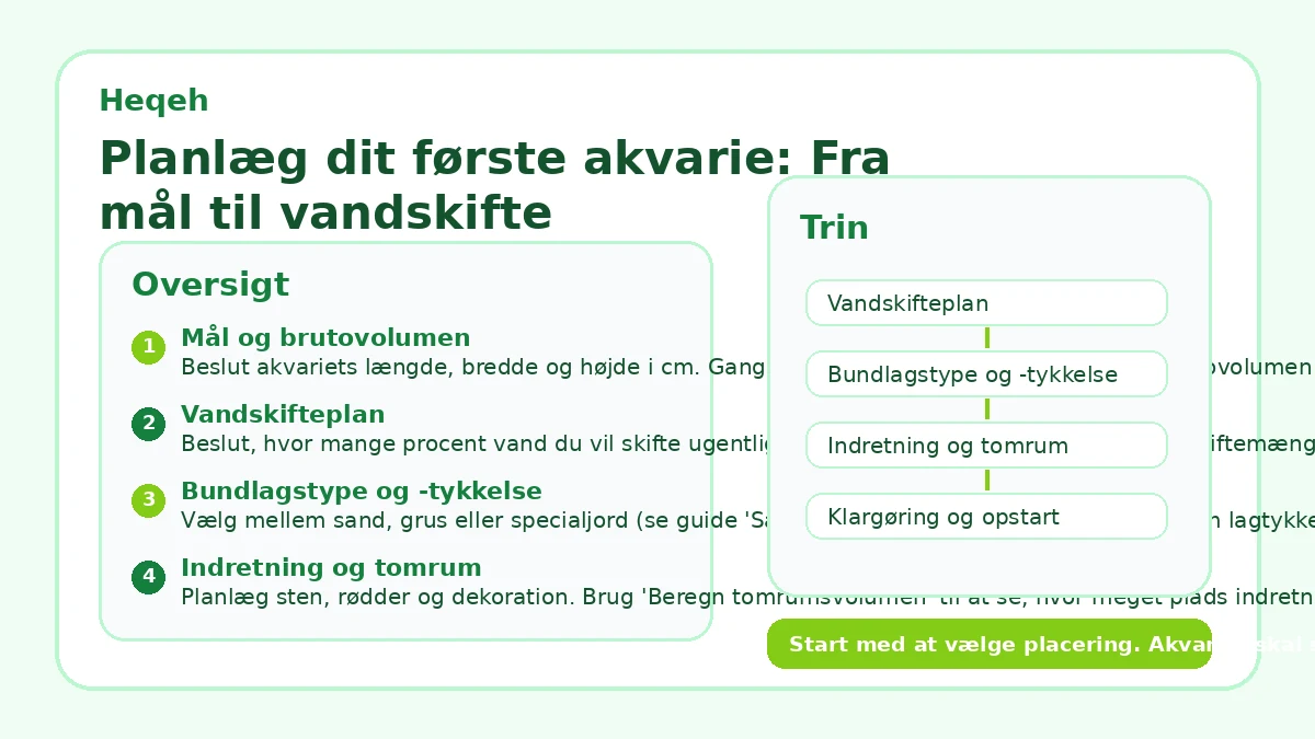 Planlæg dit første akvarie: Fra mål til vandskifte